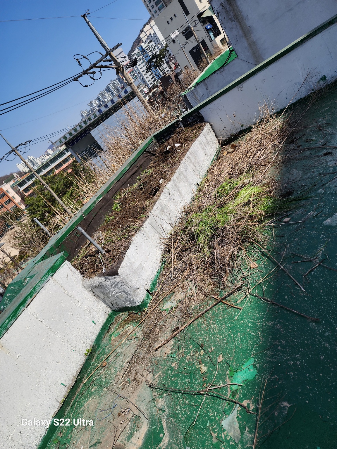 2000769928_OLihI8bY_e050a109222a9df5159293d21d9b6a769fb359b3.jpg 이미지크게보기